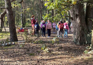 Dzieci poszukują darów lasu