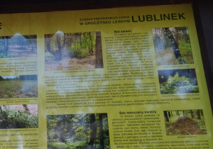 Tablica informacyjna leśnej ścieżki edukacyjnej na Lublinku