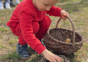 Chłopiec wkłada do koszyka ziemniaki.
