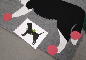 Na dywanie jest rozłożona makatka z wizerunkiem psa i oznaczonymi odpowiednim kolorem miejsca na jego ciele, które można dotykać i te które nie wolno.