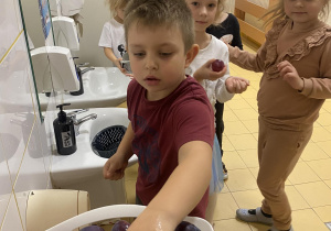 Chłopiec myje śliwki
