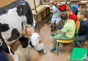 Chłopiec doi sztuczną krowę.