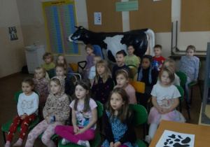 Dzieci siedzą na krzesełkach i oglądają film edukacyjny o krowach.