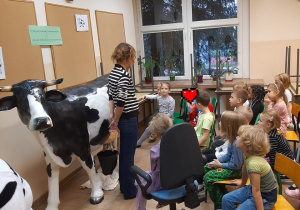 Dzieci siedzą na krzesełkach i słuchają ciekawostek o krowach.