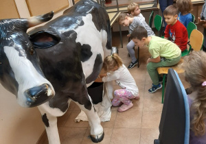 Dziewczynka doi sztuczną krowę.