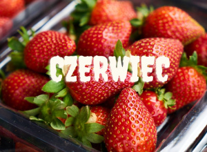 Umiejętności - czerwiec
