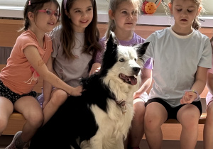 4 dziewczynki siedzą wokół psa, głaszczą go.