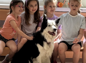 Dogoterapia