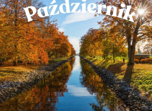 Umiejętności - październik