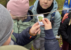 Chłopiec odczytuje kolejną ciekawostkę o drzewach przygotowana przez przewodniczkę.