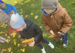 Dzieci poszukują liści w wyznaczonym kolorze.