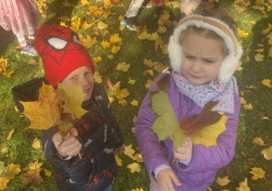 Dzieci szukają trzech liści.