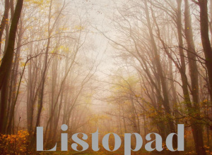 Umiejętności - listopad