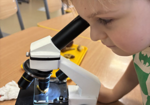 Chłopiec ogląda preparat przekroju grzyba pod mikroskopem.