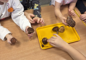 Dzieci oglądają i podają sobie wzajemnie różne rodzaje grzybów zgromadzonych na wspólnym stole.