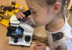 Dziewczynka z zainteresowaniem ogląda preparat grzyba pod mikroskopem.
