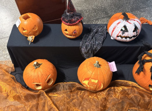 Wystawa dyń w SP 44