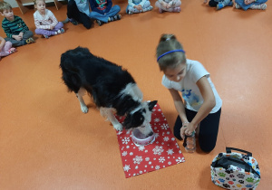 Dziewczynka nalewa psu wodę do miseczki