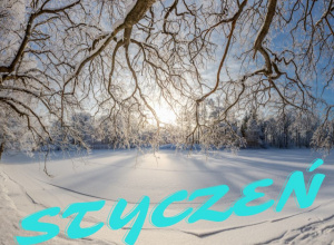 Umiejętności - styczeń