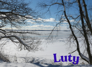 Umiejętności - luty