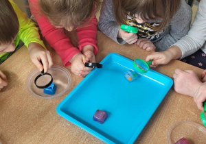 Dzieci obserwują przez lupy kotki lodu