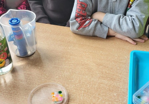 Dzieci obserwują w jakim tempie sól rozpuszcza lód