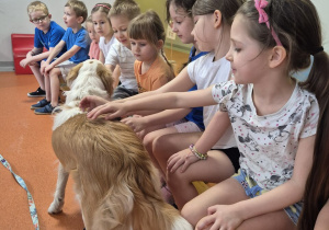 Siedzące na ławeczce dzieci głaszczą psa.