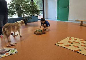 Dziewczynka ukrywa smaczek dla psa pod marchewką.