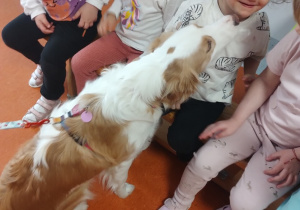 Pies łasi się do dziewczynek siedzących na ławce