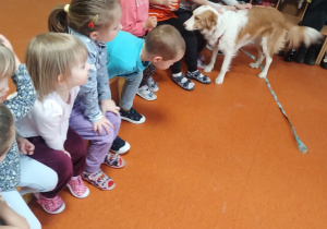 Pies pozwala dzieciom głaskać się po grzbiecie