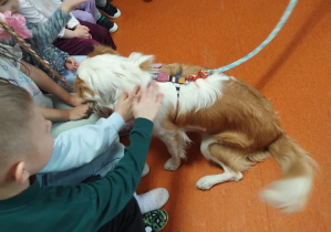 Pies przytula się do kolan siedzących na ławce dzieci