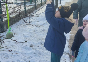 Chłopiec wiesza karmę dla ptaków