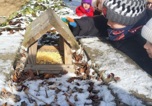 Dzieci wsypują karmę do karmnika