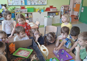 Dzieci wykonują eksperymenty z lodem