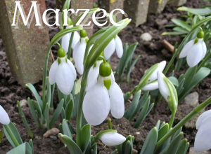 Umiejętności - marzec