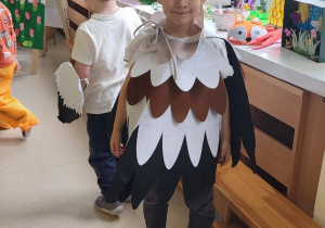 Chłopiec pozuje do zdjęcia w stroju sowy.