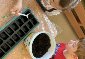 Dzieci przygotowują się do sadzenia.