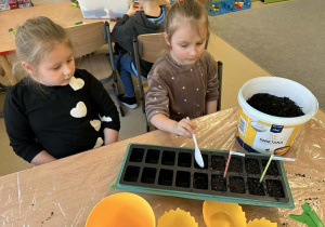 Dzieci sypią ziemię.