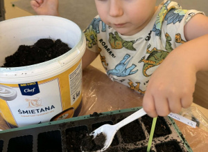 Kącik Małego Ogrodnika
