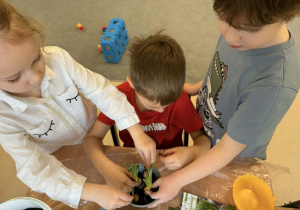 Dzieci przesadzają kwiaty.