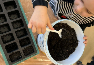 Dziewczynka nabiera ziemię.