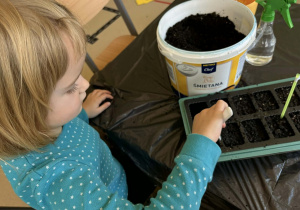 Dziewczynka sadzi rośliny.