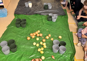 Dzieci siedzą w kręgu w środku są rozrzucone cebulki, doniczki, ziemia.