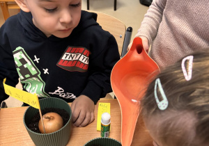 Dziecko podlewa konewką swoją posadzoną cebulkę.