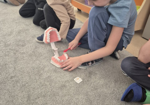 Chłopiec szczotkuje model do nauki mycia zębów