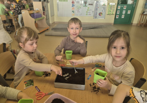 Dzieci nakładają ziemię do mniejszych doniczek.
