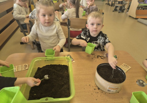 Dzieci rozpoczynają sianie nasionek.