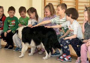 Dzieci głaszczą Lilę