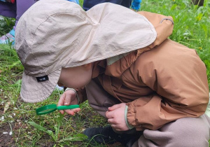 Dzieci oglądają przy pomocy lupy owady