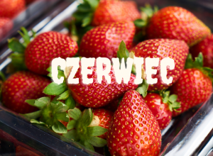Umiejętności - czerwiec